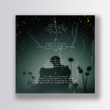 Vinyl Renne Dang - problémy v ráji 2LP